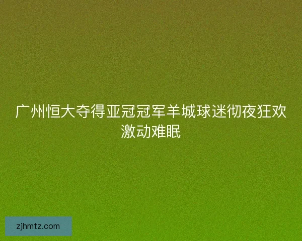 广州恒大夺得亚冠冠军羊城球迷彻夜狂欢激动难眠